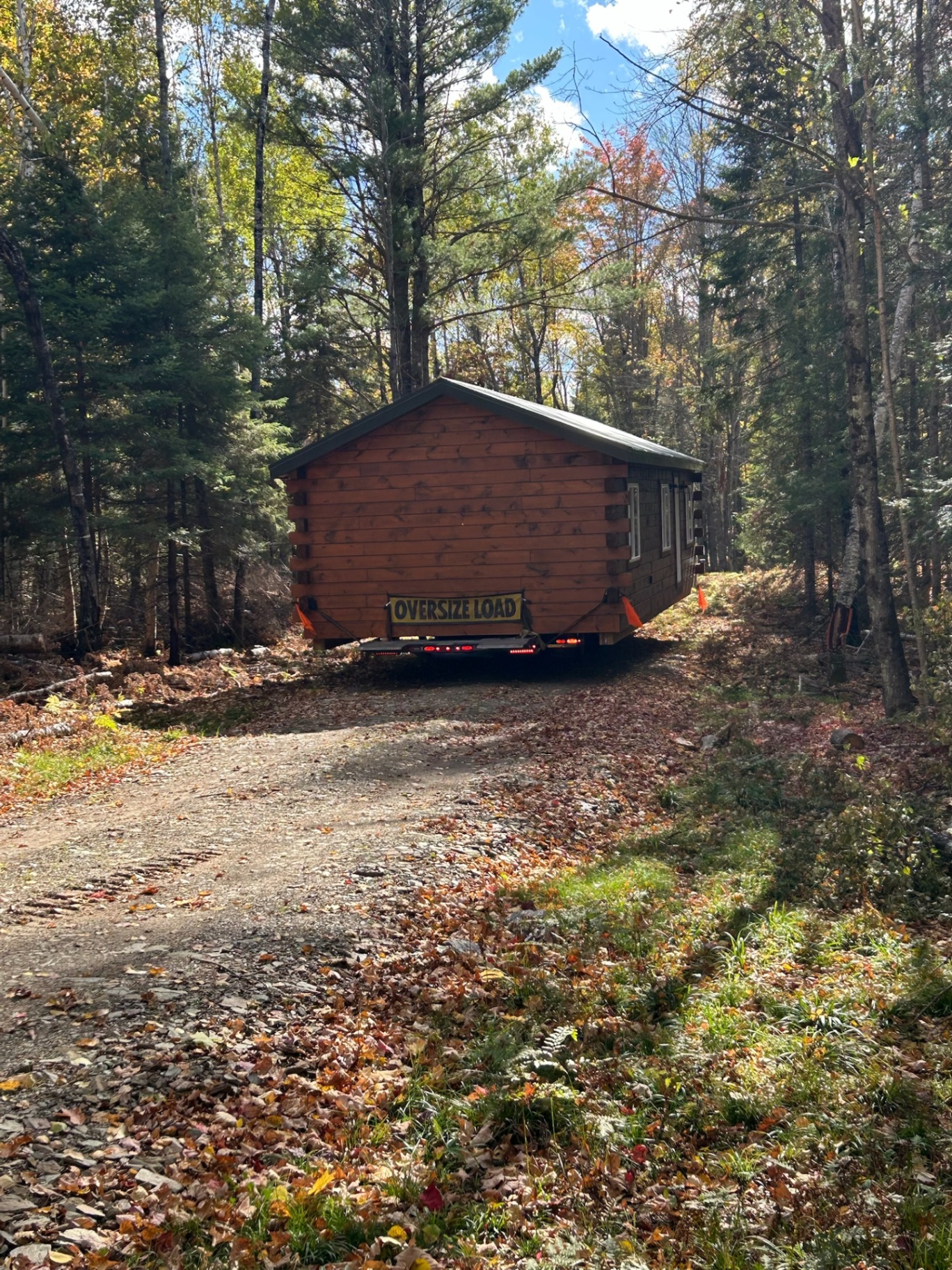 Single-level cabin backed down a wooded drive